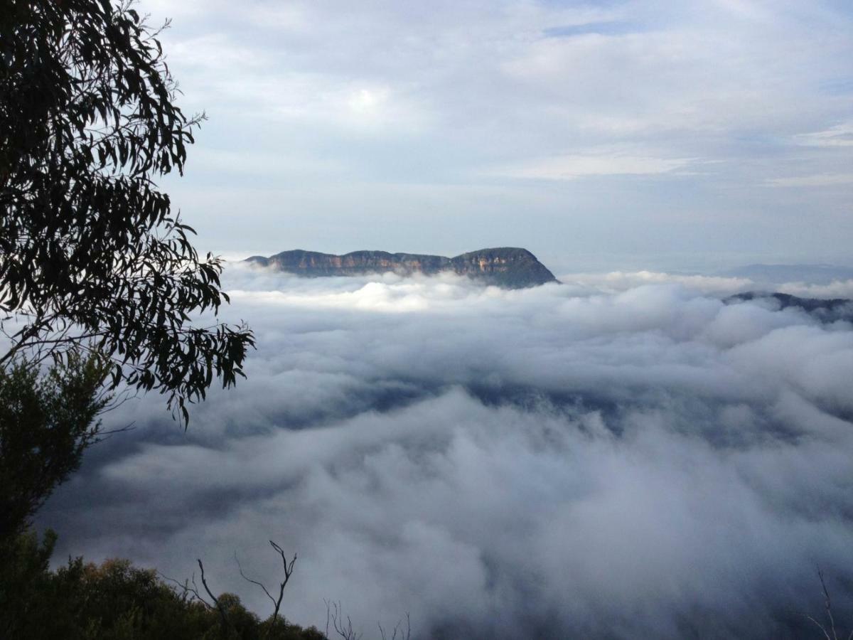 Ribbon Gum Lodge Katoomba Buitenkant foto