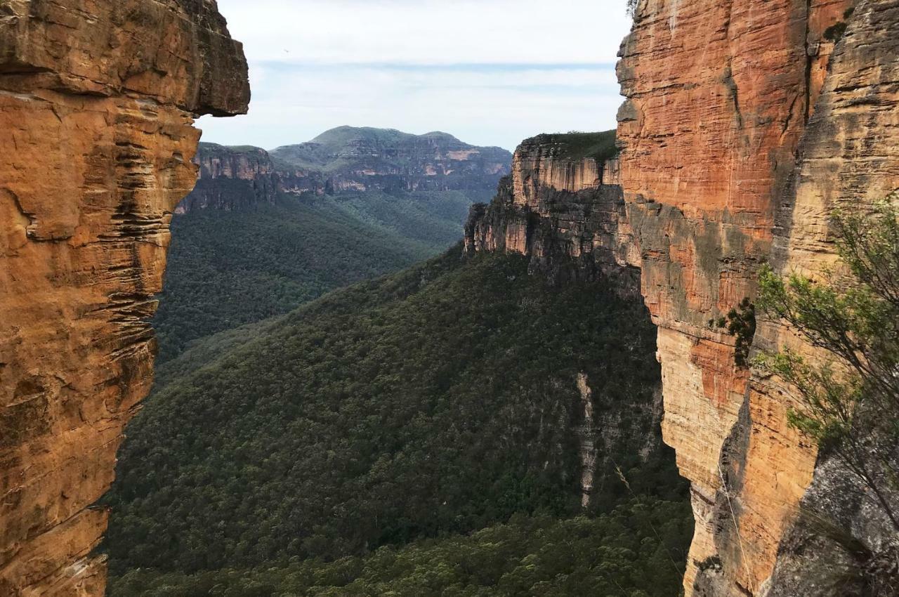 Ribbon Gum Lodge Katoomba Buitenkant foto